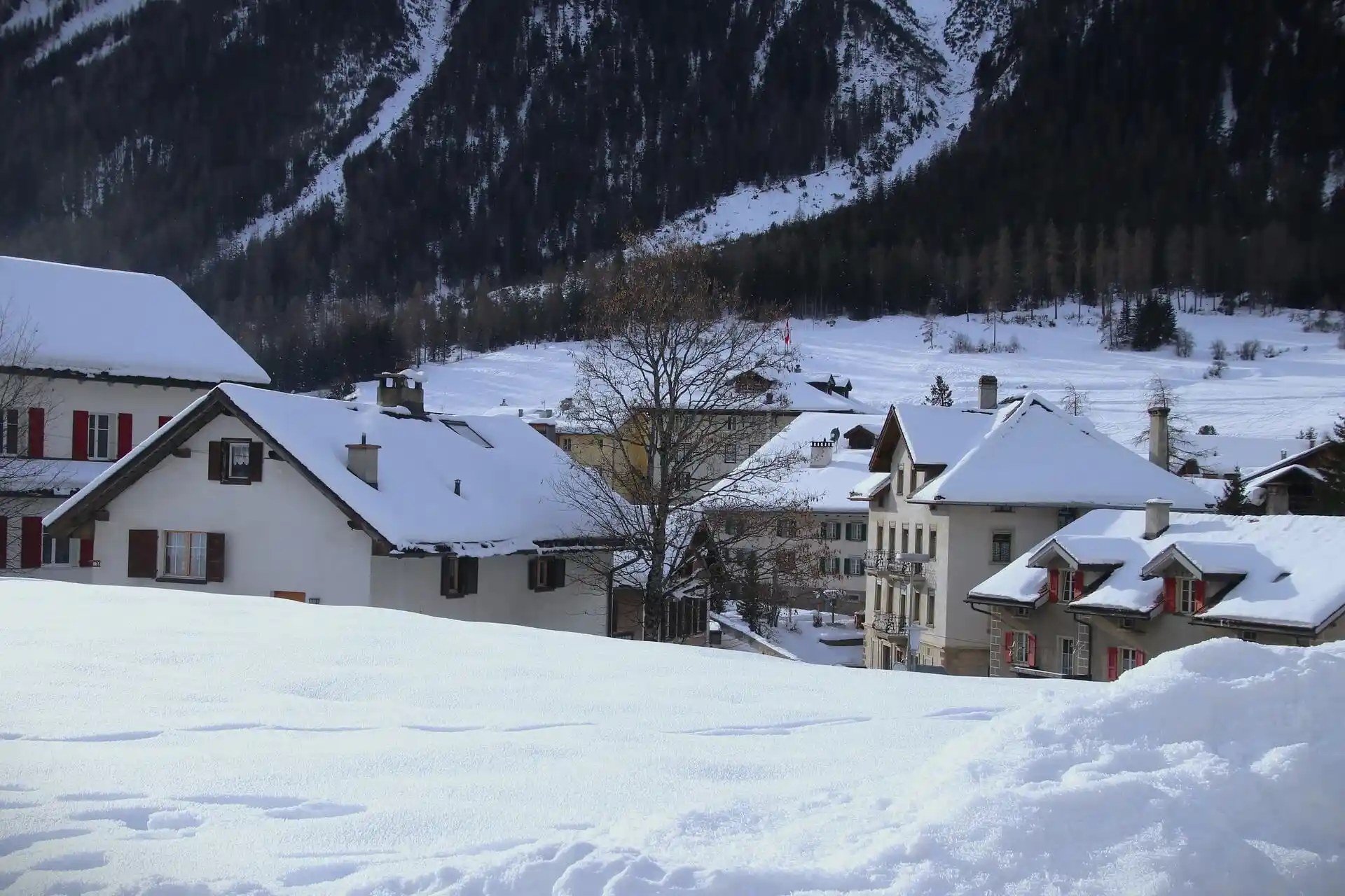 A swonny town in winter
